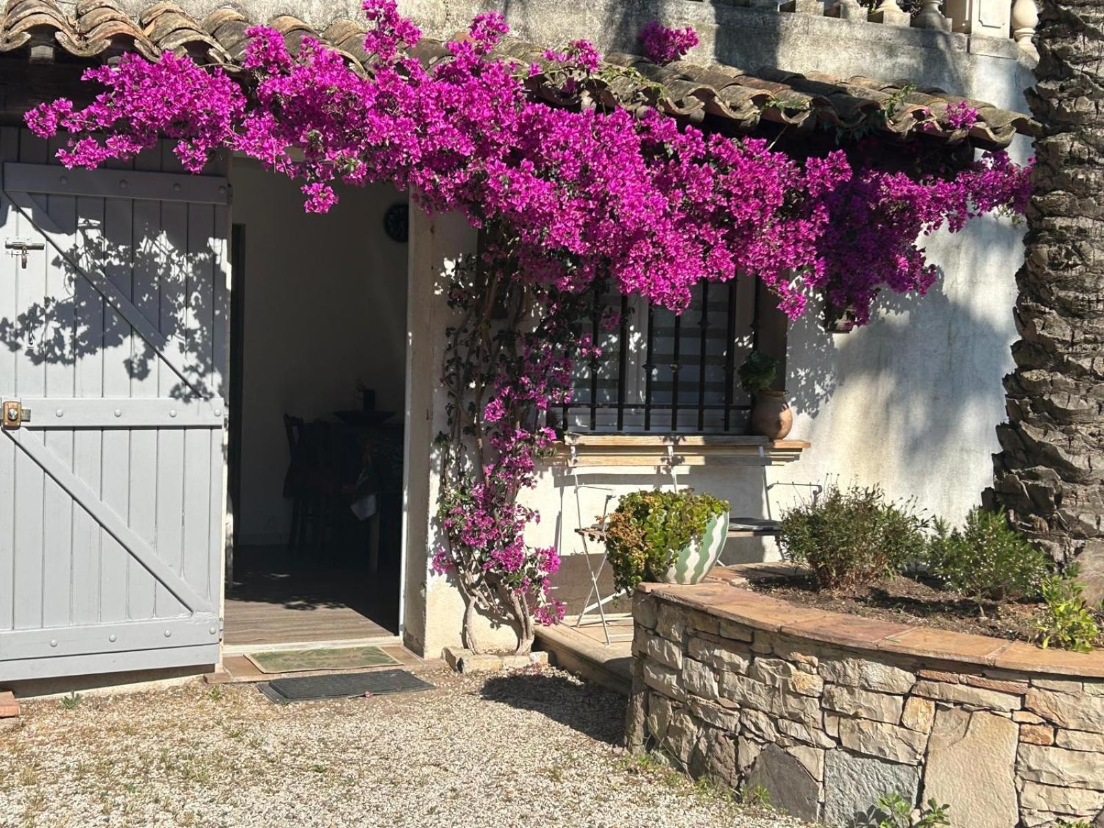 Ferienwohnung Les Palmiers Fréjus Exterior foto